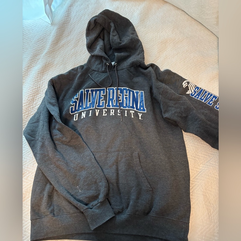 Salve Regina University Gray Hoodie Champion